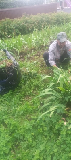 ул. Профсоюзная, д. 68, к. 2, 3, 4 — провели санитарную обрезку кустарников