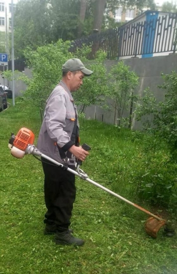 ул. Профсоюзная, д. 68 к. 2, 3, 4 — покосили траву